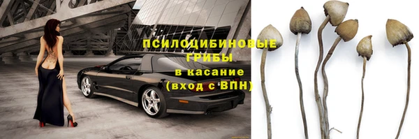 мяу мяу мука Абинск