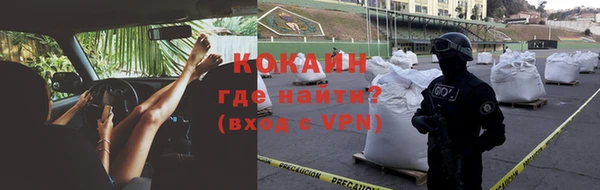 винт Абаза