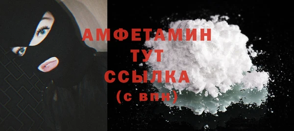 винт Абаза
