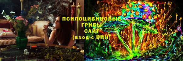 винт Абаза