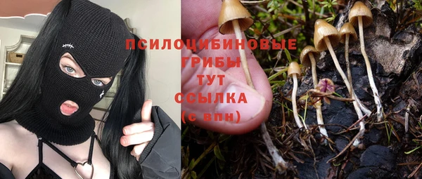 не бодяженный Магас