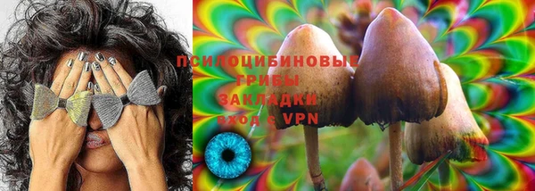 винт Абаза
