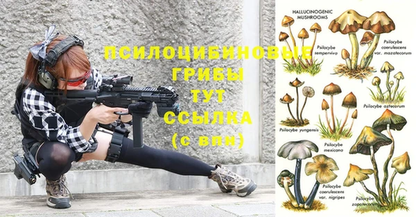 прущие крисы Магадан