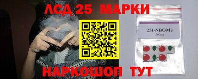 mdpv Заводоуковск