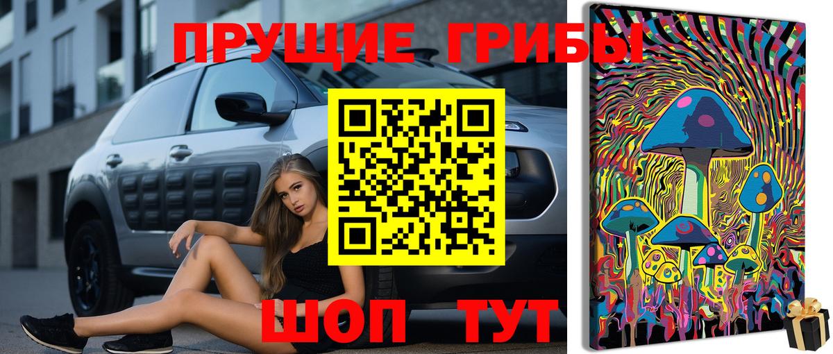 Галлюциногенные грибы прущие грибы Таганрог
