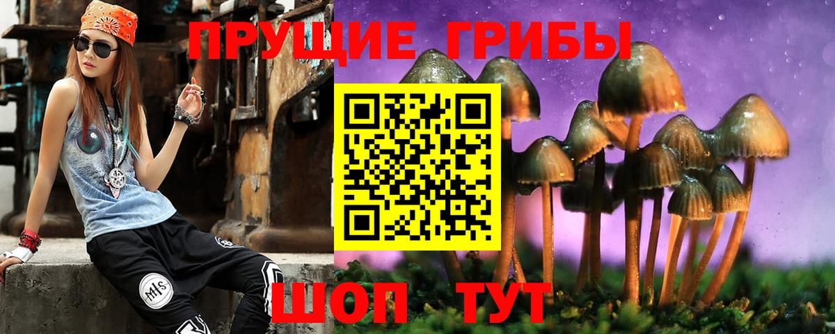 Таганрог  Галлюциногенные грибы Magic Shrooms  Вход с VPN 